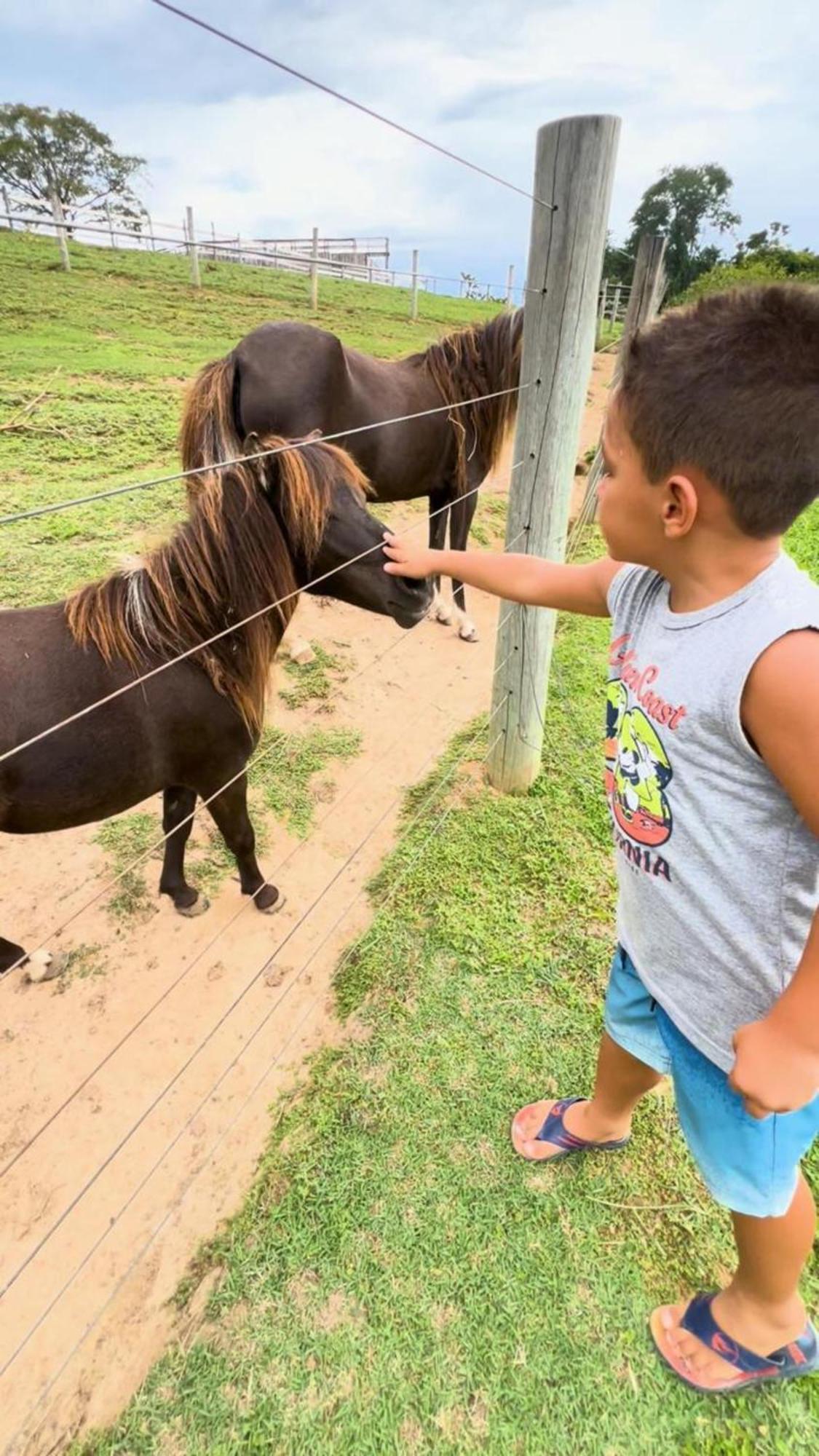 Hotel Fazenda Ararita Pôrto Feliz Zewnętrze zdjęcie
